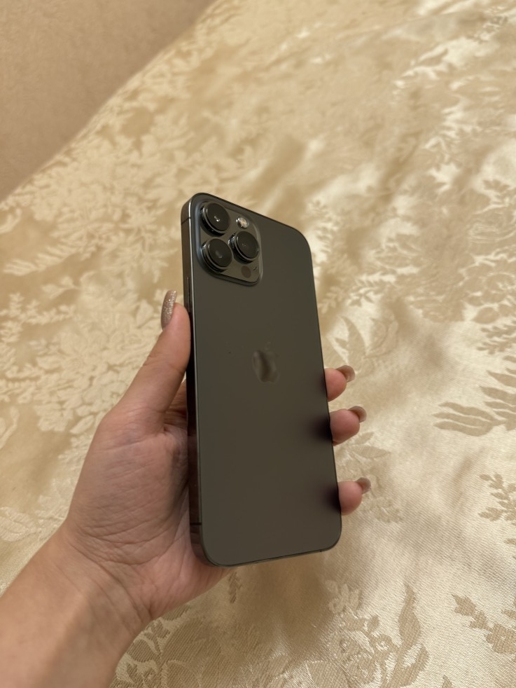 Apple iPhone 13 Pro Max 256 GB